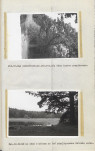 EP - Ewidencja parkowa, skan nr 62
