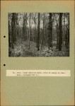 EP - Ewidencja parkowa, skan nr 56