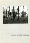Ewidencja parkowa, skan nr 46