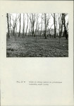 Ewidencja parkowa, skan nr 53