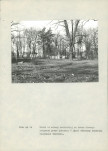 EP - Ewidencja parkowa, skan nr 61