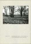 EP - Ewidencja parkowa, skan nr 63