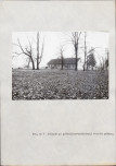 EP - Ewidencja parkowa, skan nr 41