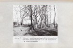 Ewidencja parkowa, skan nr 49