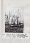 Ewidencja parkowa, skan nr 50