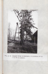 Ewidencja parkowa, skan nr 53