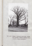 EP - Ewidencja parkowa, skan nr 78