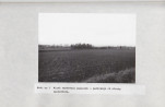 Ewidencja parkowa, skan nr 37