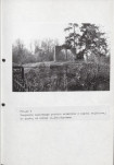 EP - Ewidencja parkowa, skan nr 43