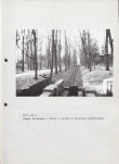 EP - Ewidencja parkowa, skan nr 45