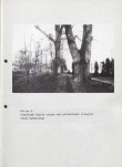 EP - Ewidencja parkowa, skan nr 46
