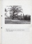 EP - Ewidencja parkowa, skan nr 48