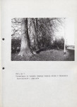 EP - Ewidencja parkowa, skan nr 49