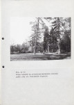 EP - Ewidencja parkowa, skan nr 55