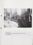 EP - Ewidencja parkowa, skan nr 56