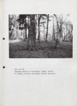 EP - Ewidencja parkowa, skan nr 58