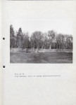 EP - Ewidencja parkowa, skan nr 61
