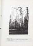 EP - Ewidencja parkowa, skan nr 64