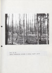 EP - Ewidencja parkowa, skan nr 65