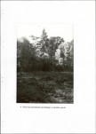 Ewidencja parkowa, skan nr 32