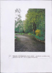 EP - Ewidencja parkowa, skan nr 44
