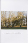 EP - Ewidencja parkowa, skan nr 54