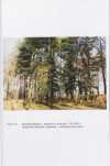 EP - Ewidencja parkowa, skan nr 56