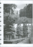 Ewidencja parkowa, skan nr 54