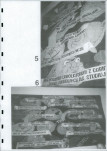 Ewidencja parkowa, skan nr 55