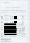 EP - Ewidencja parkowa, skan nr 28