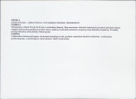 KB - Karta biała, skan nr 6