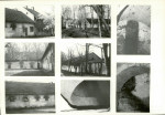 Karta biała, skan nr 6