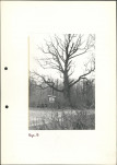 Ewidencja parkowa, skan nr 19