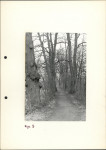Ewidencja parkowa, skan nr 22