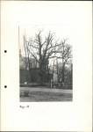 Ewidencja parkowa, skan nr 24