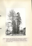 Ewidencja parkowa, skan nr 11