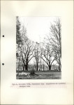 Ewidencja parkowa, skan nr 13
