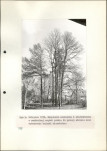 Ewidencja parkowa, skan nr 14