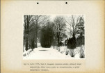 Ewidencja parkowa, skan nr 15