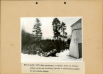 Ewidencja parkowa, skan nr 20