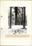 Ewidencja parkowa, skan nr 14