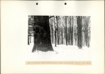 Ewidencja parkowa, skan nr 22