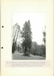 Ewidencja parkowa, skan nr 15