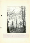 Ewidencja parkowa, skan nr 21