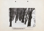 EP - Ewidencja parkowa, skan nr 28