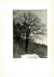 Ewidencja parkowa, skan nr 25