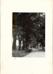 Ewidencja parkowa, skan nr 14