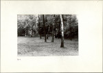 Ewidencja parkowa, skan nr 10