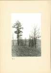 Ewidencja parkowa, skan nr 14