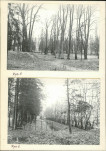 Ewidencja parkowa, skan nr 18